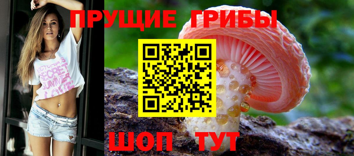 Галлюциногенные грибы прущие грибы  Вход с VPN  Котельники  Псилоцибиновые грибы GOLDEN TEACHER 