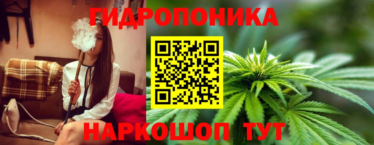 Бошки марихуана White Widow  Вход с VPN  Канабис ГИДРОПОН  Котельники  Канабис Bruce Banner 